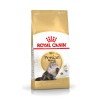 로얄캐닌 페르시안 어덜트 400g