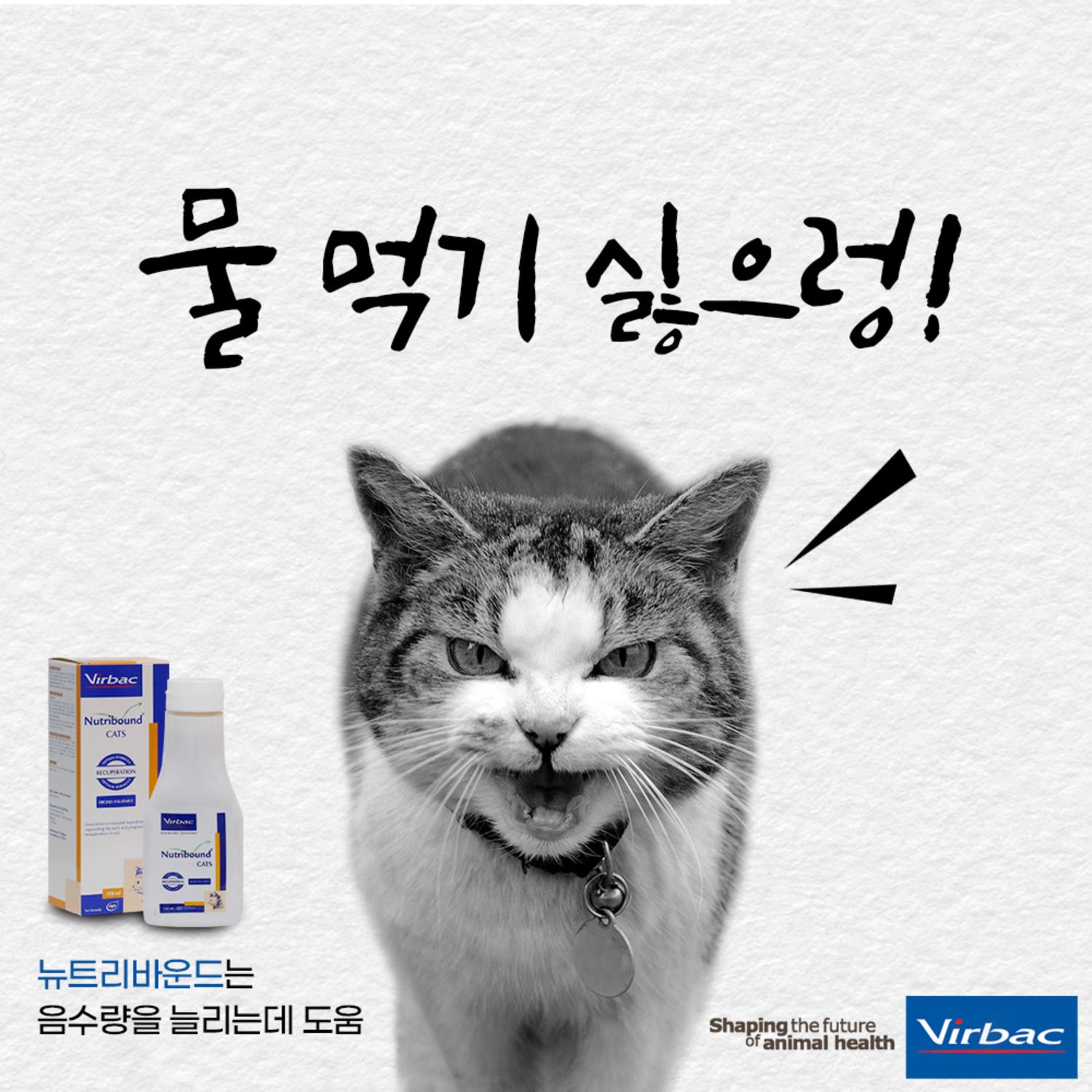 버박 뉴트리바운드 캣 면역력 강화 종합영양제