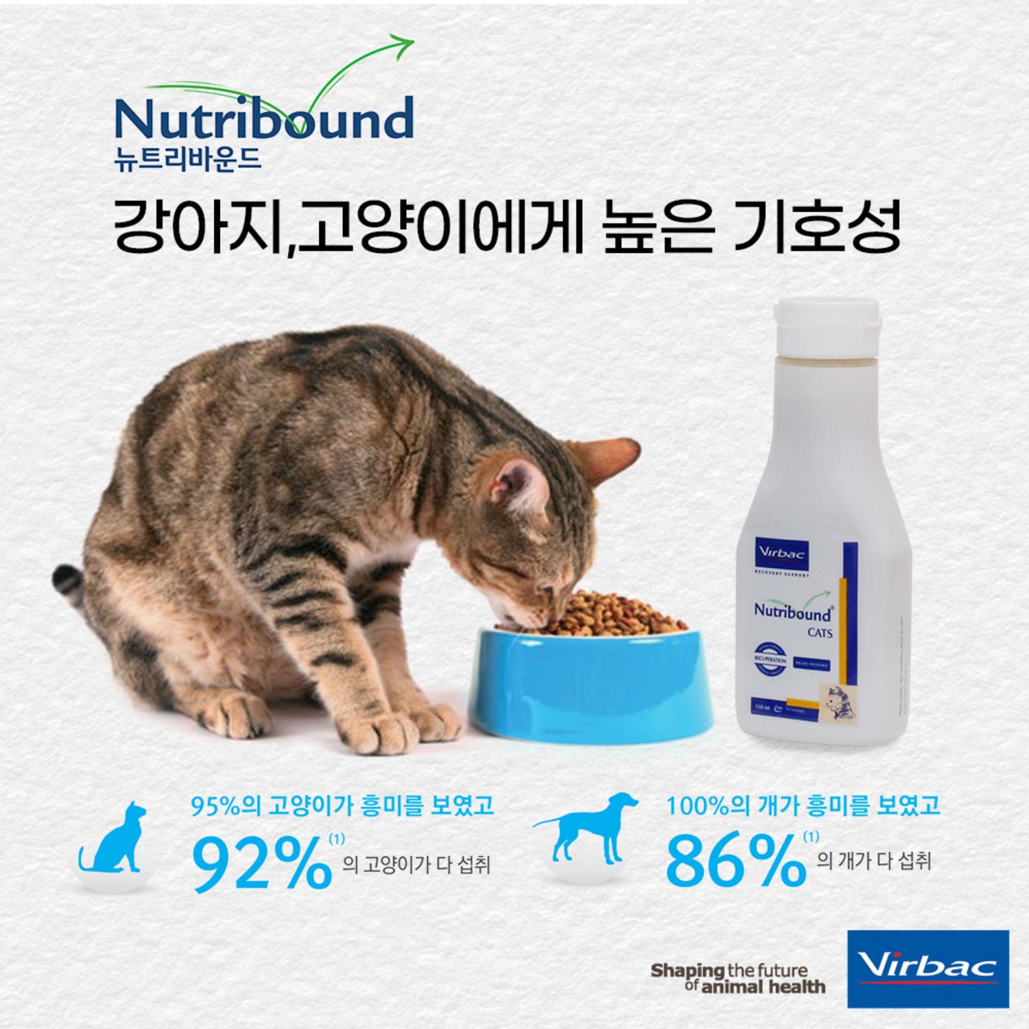 버박 뉴트리바운드 캣 면역력 강화 종합영양제