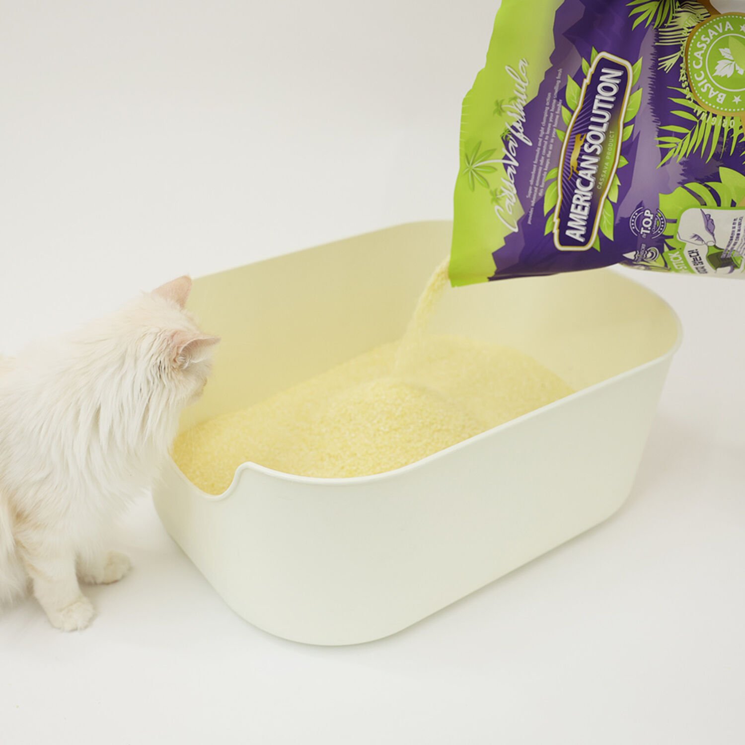 아메리칸 솔루션 베이직 카사바 4.55kg x 3개