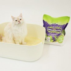 아메리칸 솔루션 베이직 카사바 4.55kg x 3개