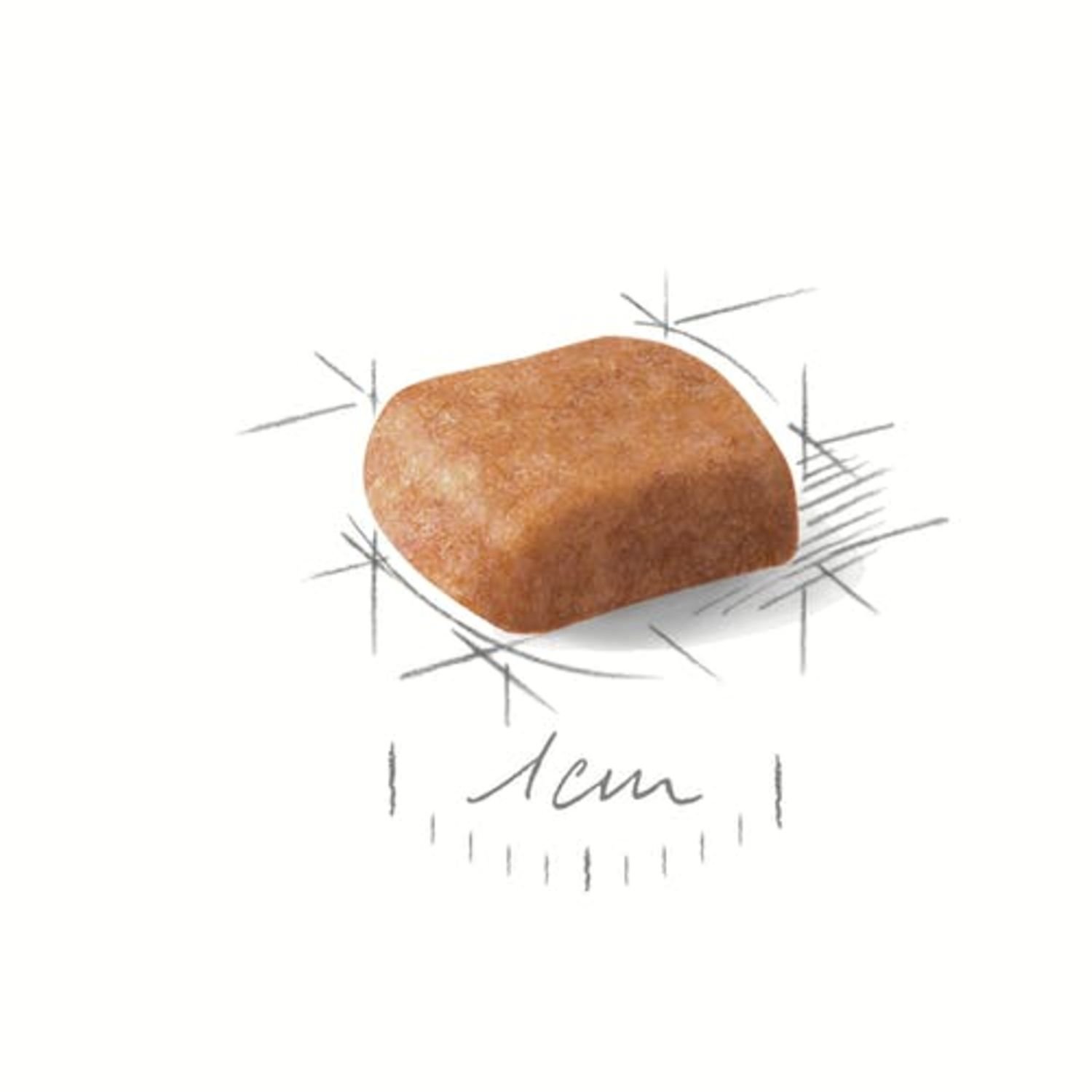 로얄캐닌 강아지사료 푸들 퍼피 1.5kg