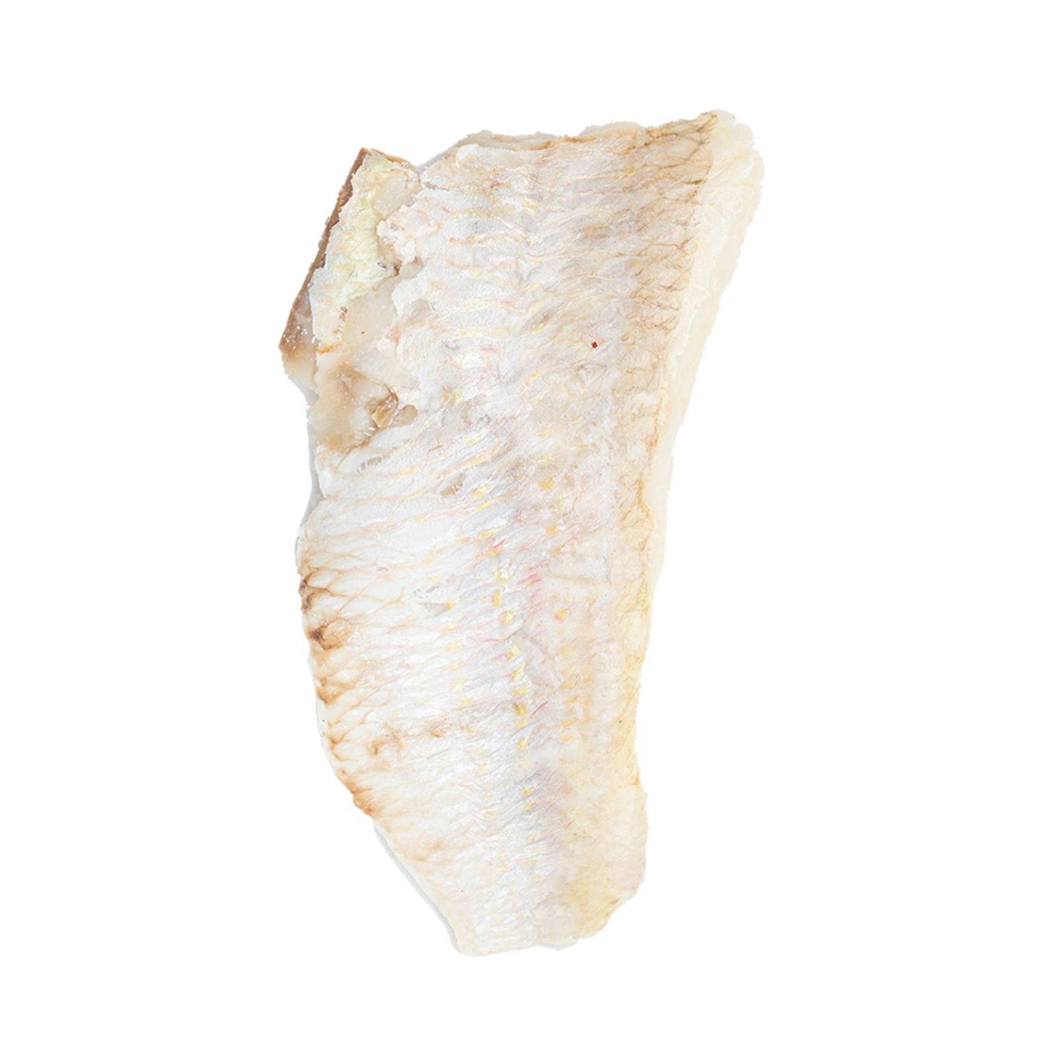 내추럴키티 스팀 도미 30g